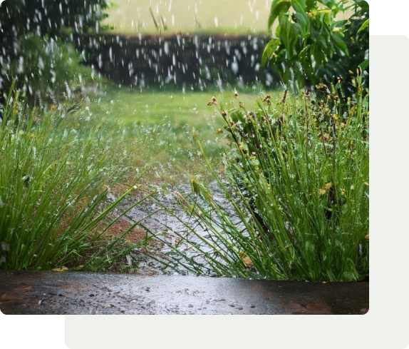 Neden Yağmur Suyu